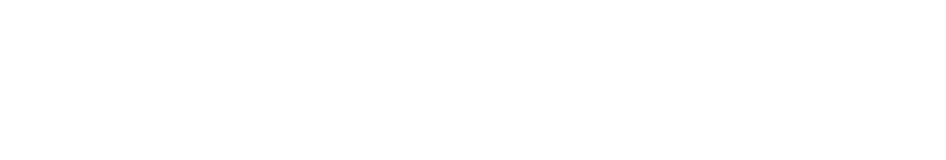 Ostium logo